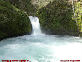 Buck Creek Falls Washington