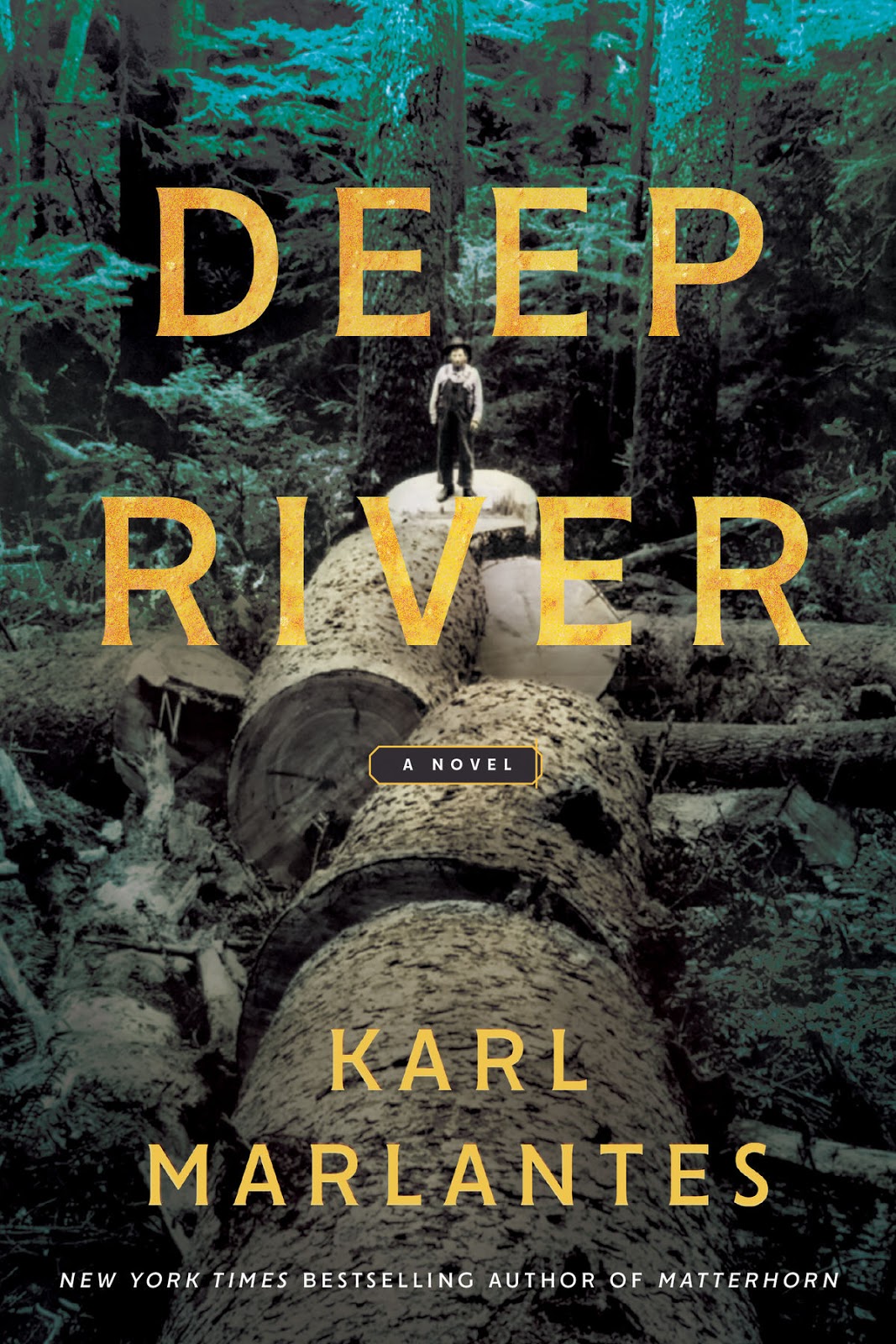 LIBRARY GENESIS [PDF] Deep River By Karl Marlantes Free Download