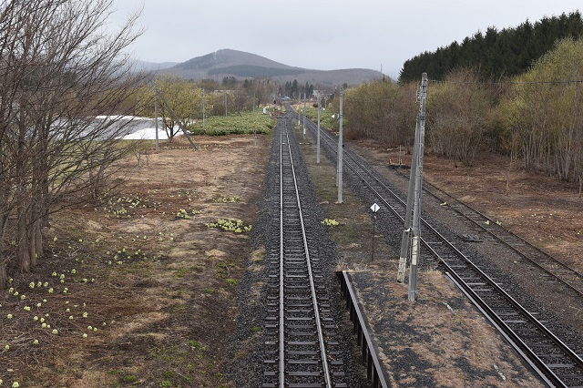 鉄旅写真報告 安国駅