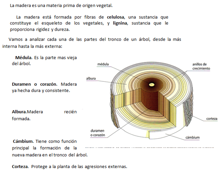 Instalaciones en Carpintería y Mueble: TEMA 2: MADERAS