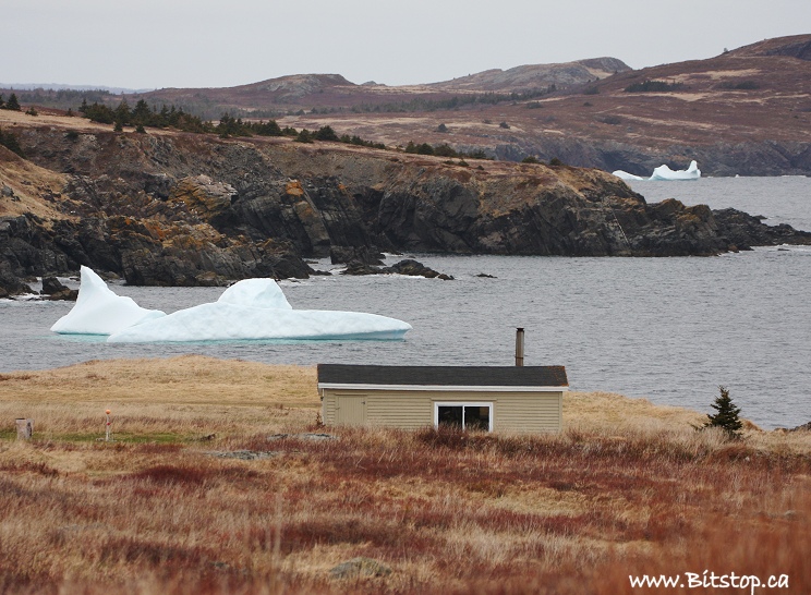 Bitstop Broad Cove & Blackhead, Conception Bay North