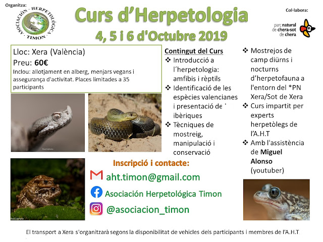 https://1.bp.blogspot.com/-BIm3RofG0Vs/XXgizg8X8qI/AAAAAAAAIo8/jiiVc471164zsVjQvS_LLSE5JMvBaWfzwCLcBGAsYHQ/s640/Curs%2BHerpetologia%2Bamfibis%2Breptils%2Bvalencians%2BAssociaci%25C3%25B3%2BHerpetol%25C3%25B2gica%2BTimon%2BParc%2BNatural%2Bde%2BXera%2BChera.jpeg