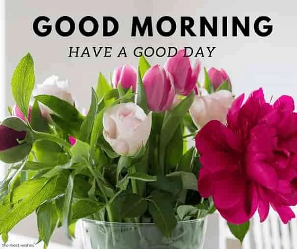 sweet good morning roses