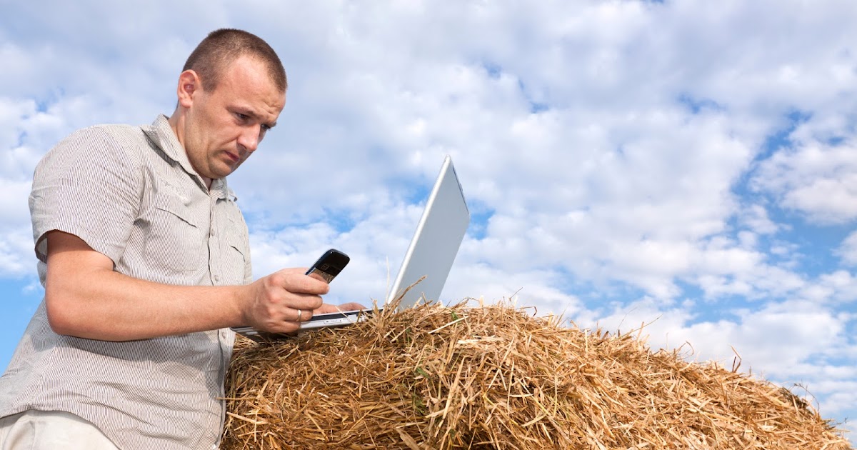 Чем полезны семена льна. Станица ленинградская поля. Руспоселения рф семена и экотовары. Лен фермер. Фермерство ленобласти.