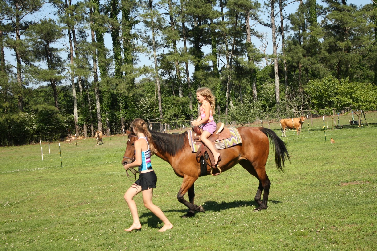 Barefoot Horseback Riding | radati77 | 心情日記分享 | 痞客邦 | PIXNET