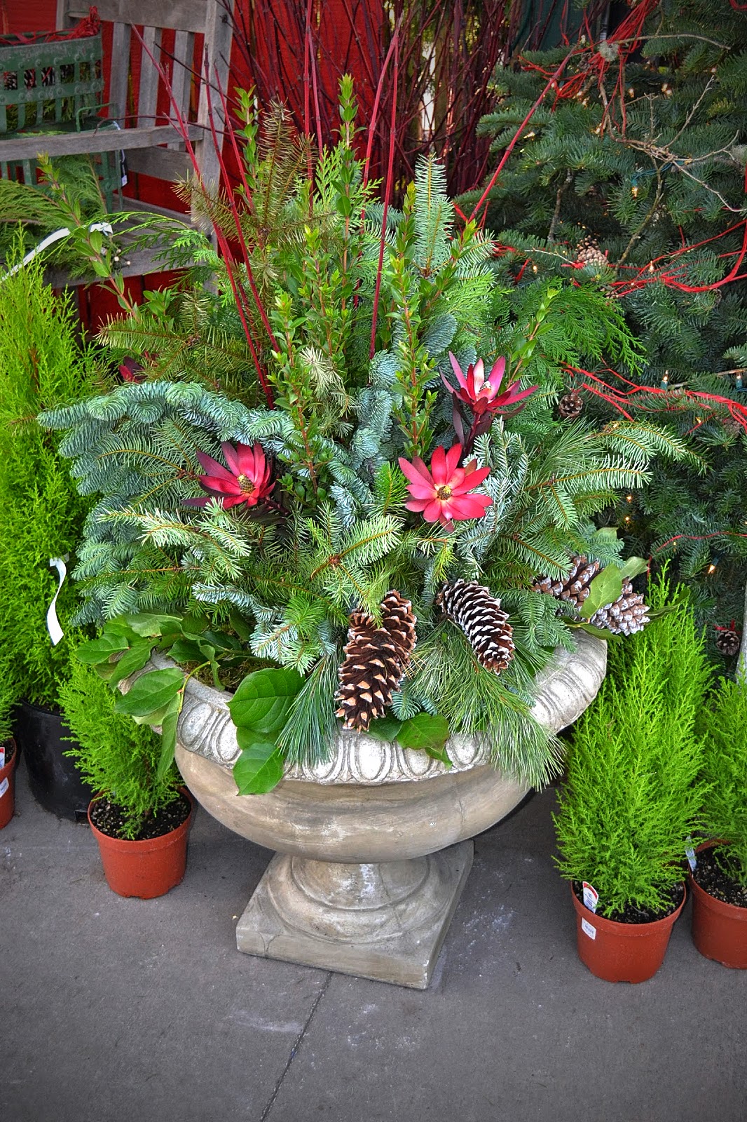 The Outlaw Gardener Sky Nursery Ushers in the Season!