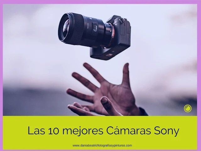 mejor-camara-mirrorless-2020