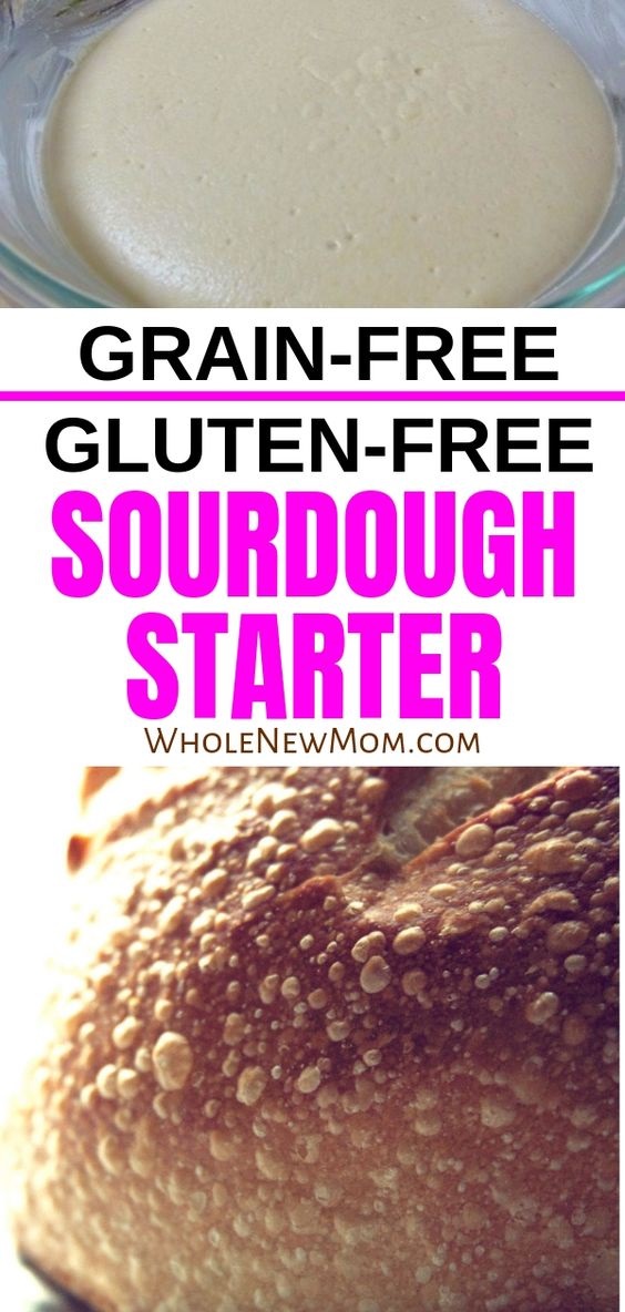 Gluten-Free Sourdough Starter