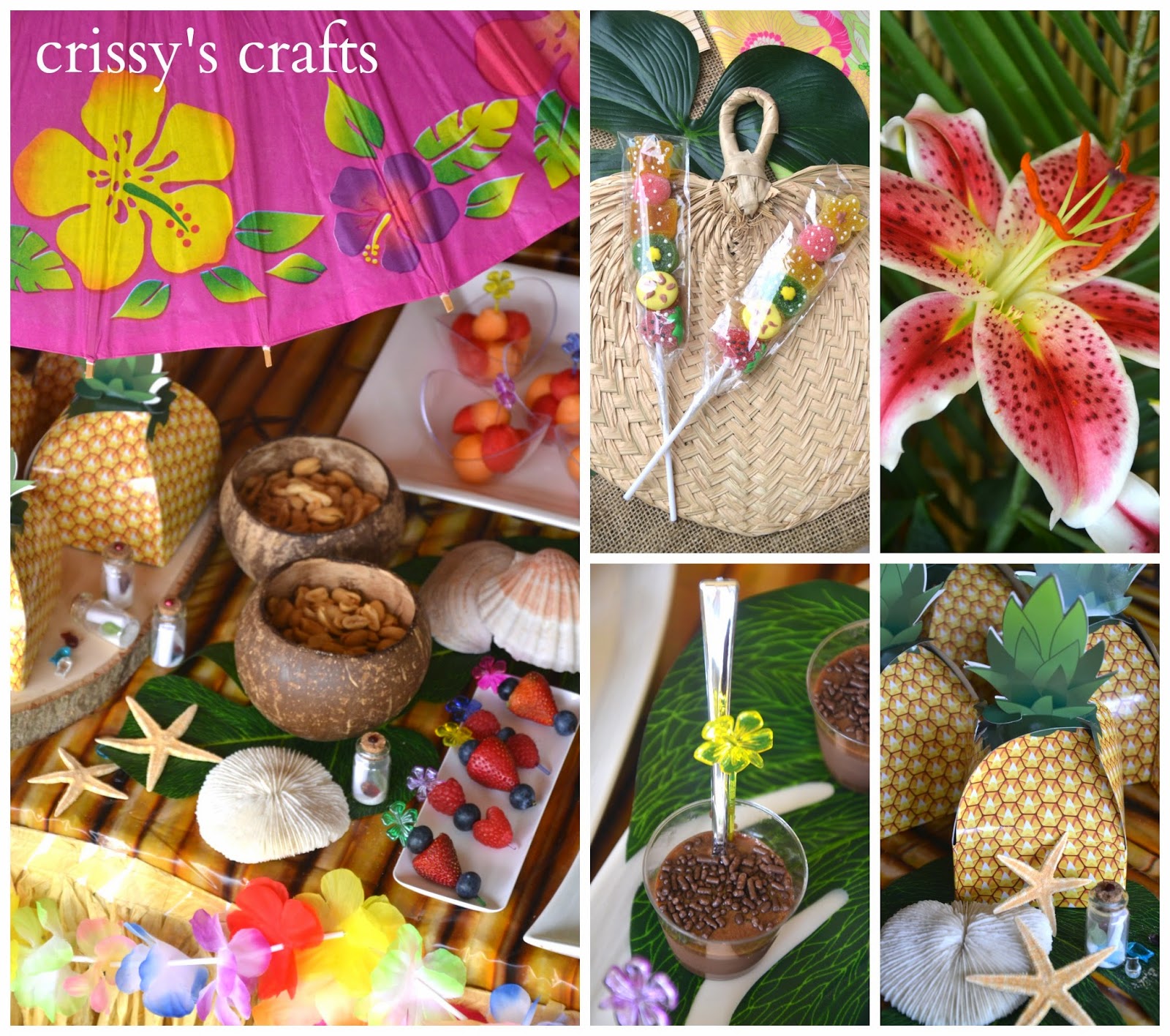 Crissy's Crafts: Luau Party 2014