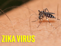 Ini Dia 7 Kenyataan Bahaya Virus Zika Yang Belum Ada vaksinnya