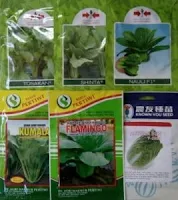 sayuran sawi, pak choy white takii seed, pak coy, jual benih sawi, toko pertanian, toko online