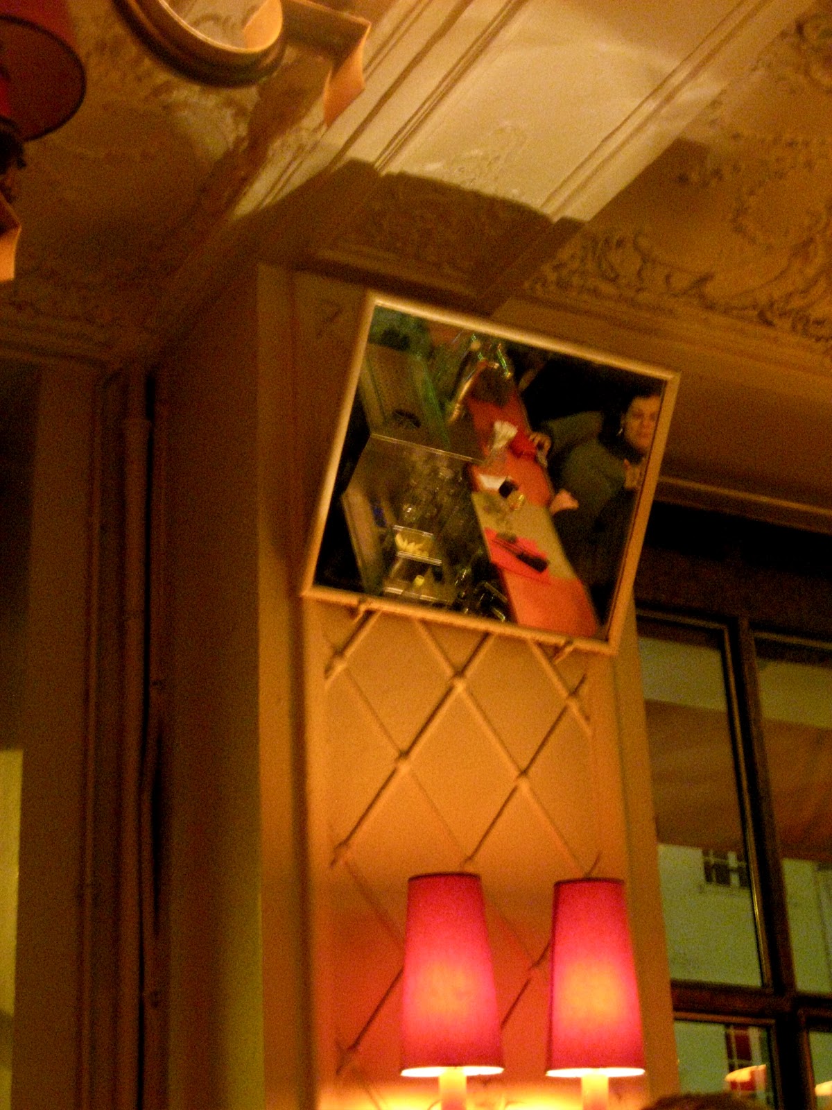 Arthur est un perroquet 35 Tage Paris Arthur fliegt nach Hause