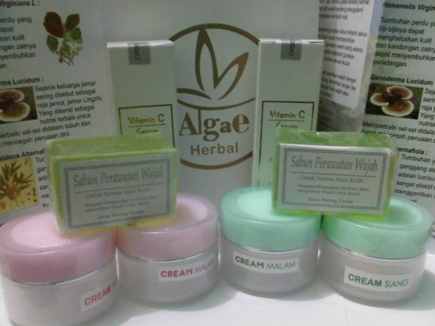 Ciri Ciri Cream Herbal Algae Asli Dan Palsu