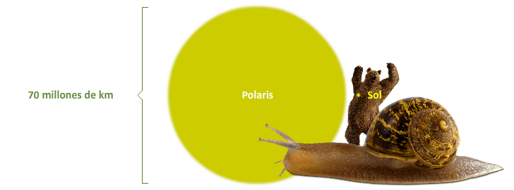Tamaños comparados de Polaris, el Sol y un caracol gigante que no existe