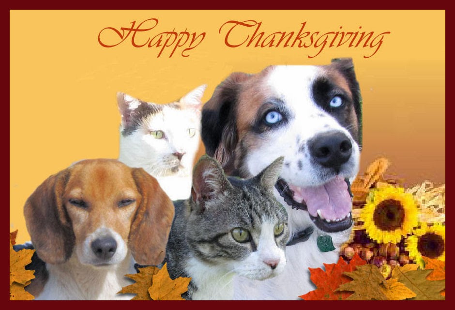 Free happy thanksgiving icons
