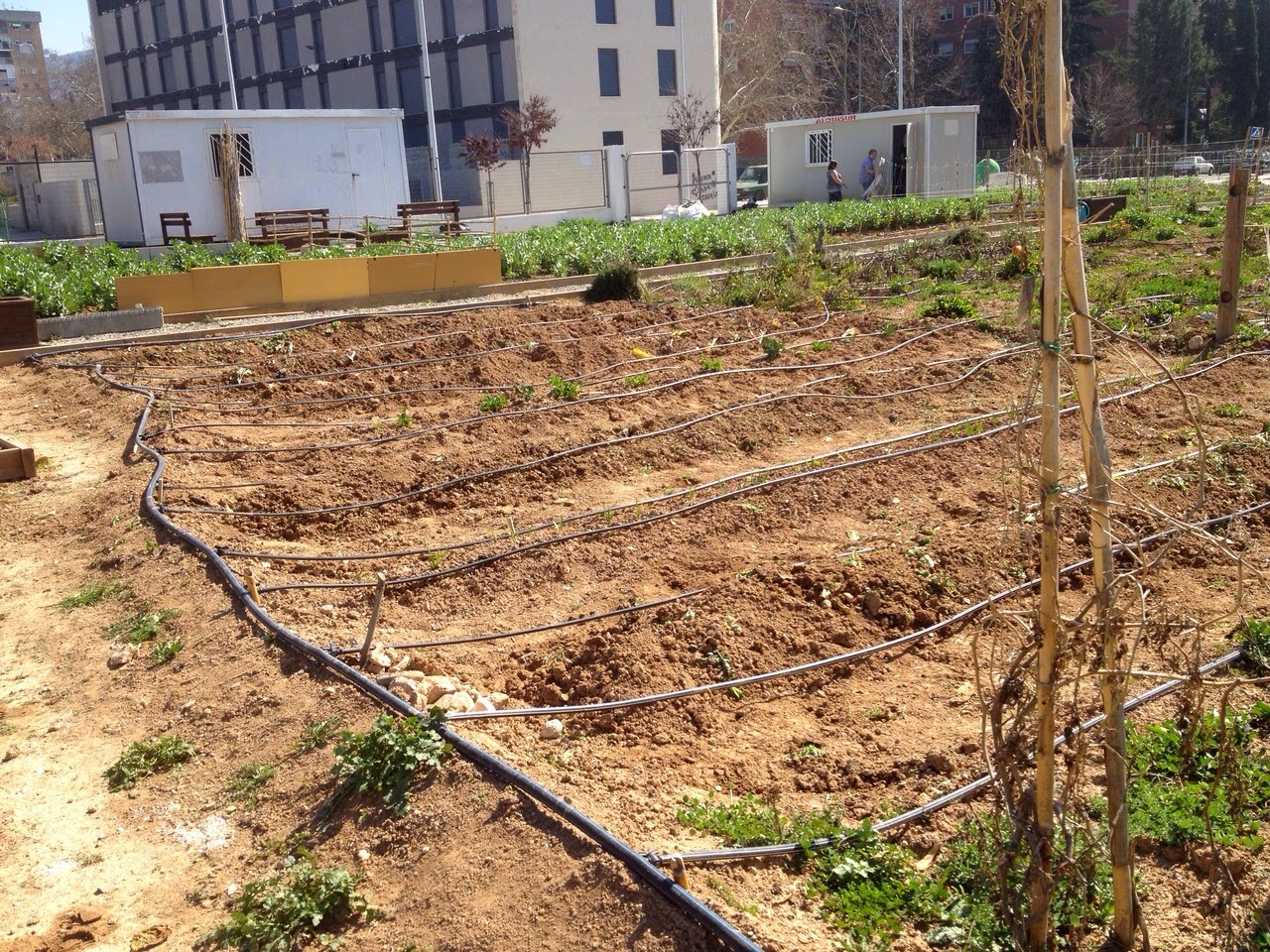 SAPAME: Taller Huerto Ecológico, del 3 de Marzo