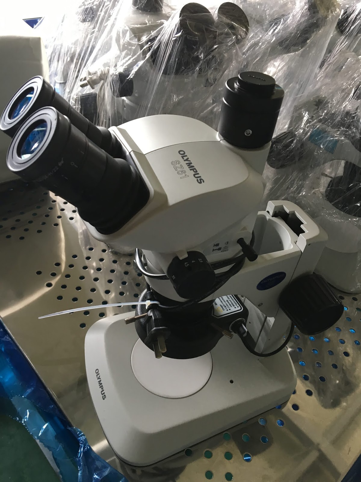 Stereo Microscopes