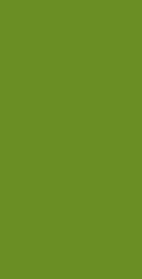 Solid Color Background Wallpaper Android iPhone Solid Color Background Wallpaper Android iPhone