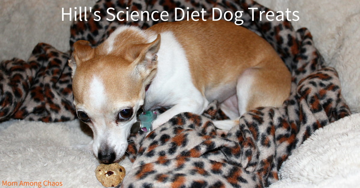 Mom Among Chaos Hill's Science Diet Dog Treats