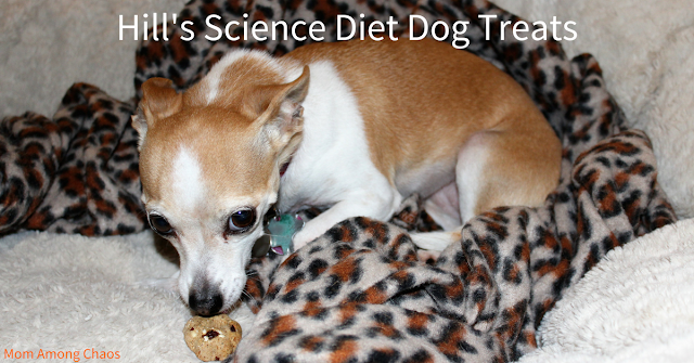 Hill's Science Diet Dog Treats, dog treats, homemade, recipes, easy, grain free, peanut butter, healthy,