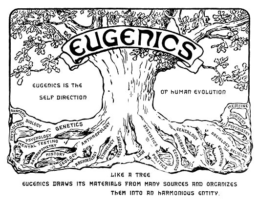 eugenics