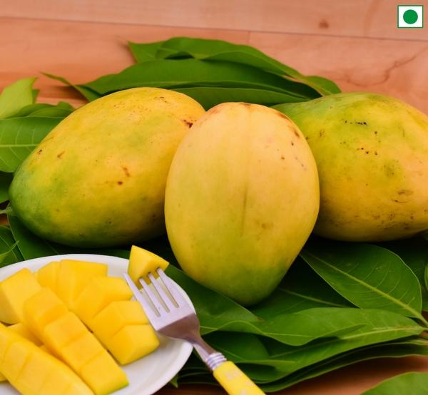 Top 4 Mango Variety in Salem How to buy best Mango in Online