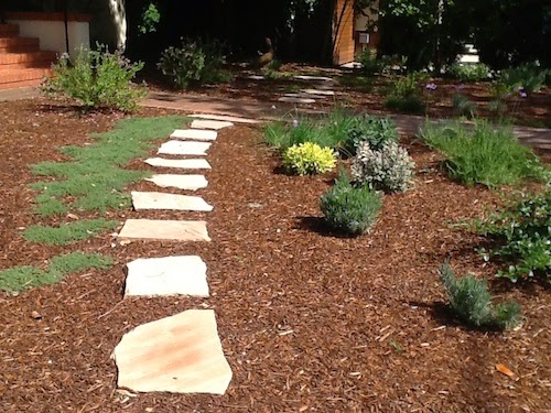 san-fernando-valley-leads-the-way-in-lawn-replacement-rebates-amid