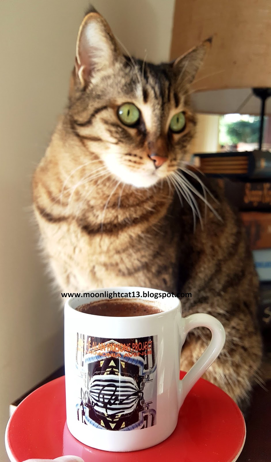 moonlightcat13 Ammonia Avenue