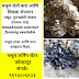 Mushroom buyback maharashtra | Mushroom Contract Farming Company