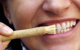 cara menghilangkan karang gigi secara alami