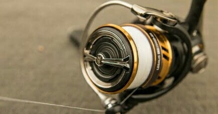 reel daiwa revros lt 2500