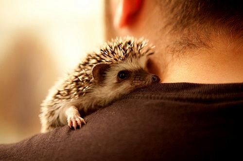 MAGICK RIVER: Cuteness Therapy. Quite Painless! (repost)