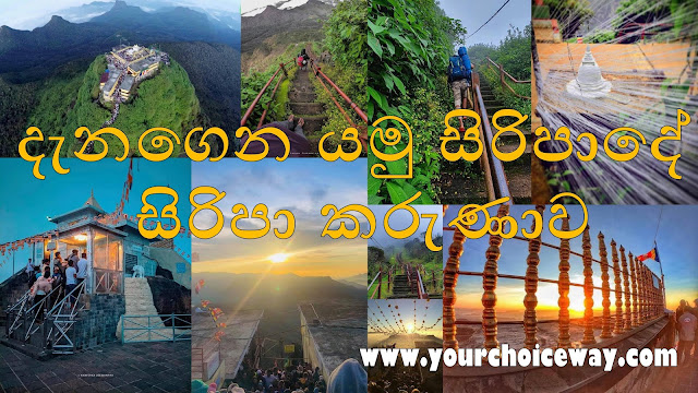 දැනගෙන යමු සිරිපාදේ - සිරිපා කරුණාව ☸️🙏❤️ ( Siripa Karunawa [ Sri Padaya] ) - Your Choice Way
