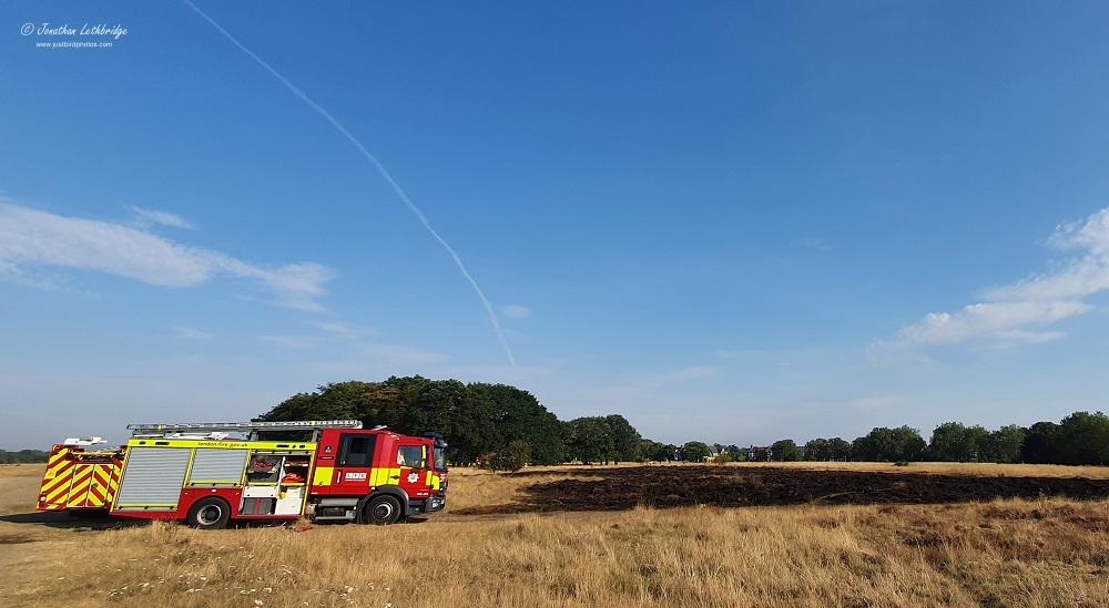 Wanstead Birder Another fire on Wanstead Flats