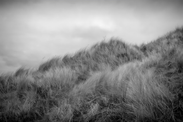 Black and white photograph of sand dunes between Seahouses & Bamburgh by Martyn Ferry Photography