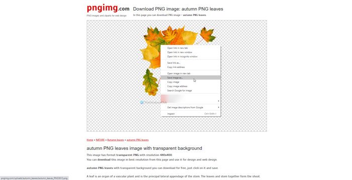 Dove scaricare immagini PNG con sfondo trasparente