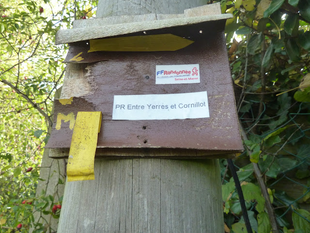 Remake de la Randonnée de Printemps de Combs-la-Ville. Vendredi 08 novembre 2019. P1110912