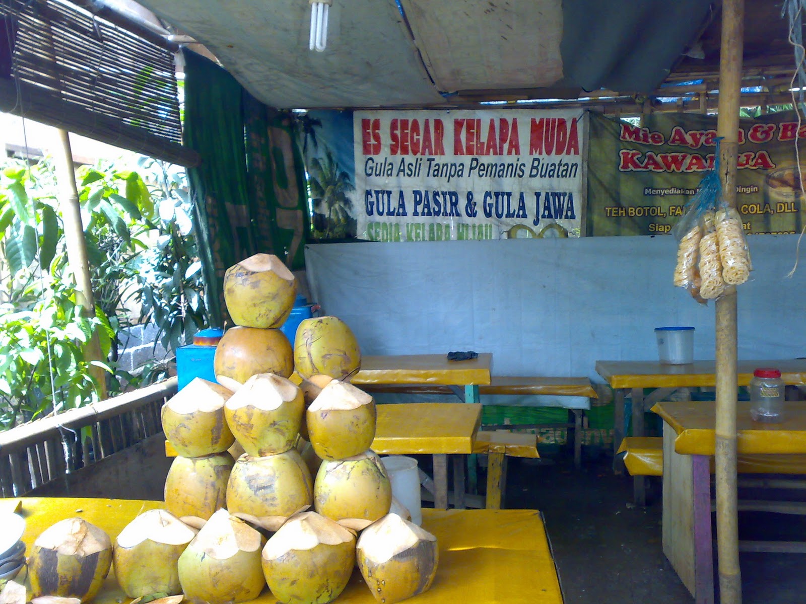 Desain Warung Kelapa Muda gambar contoh banners