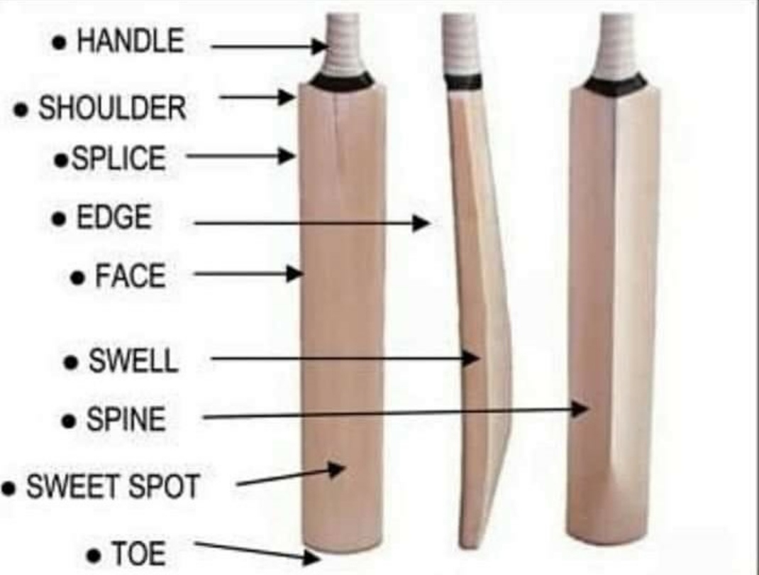K Karthik Raja's Cricket Strategy Collections Areas of Cricket bat