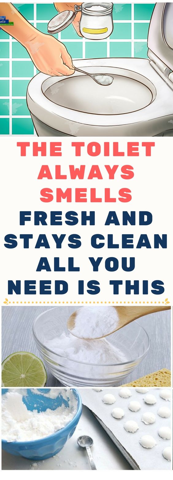 The Toilet Always Smells Fresh And Stays Clean. All You Need Is This
