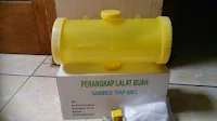 semangka Sg-5656, semangka inul kuning, manfaat buah semangka, jual benih semangka, toko pertanian, online shop, lmga agro