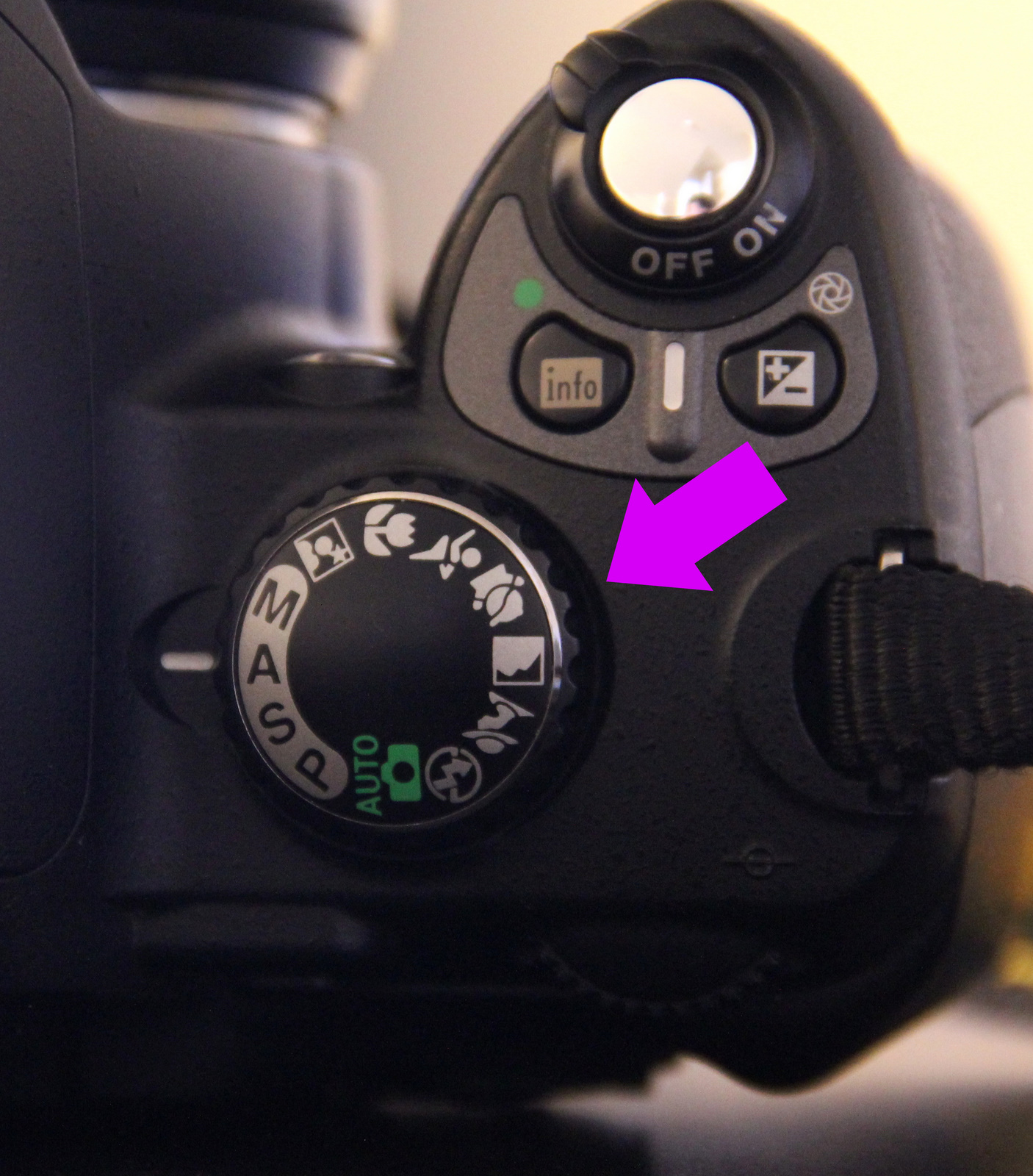 Nikon Newbie: Nikon D40x Features