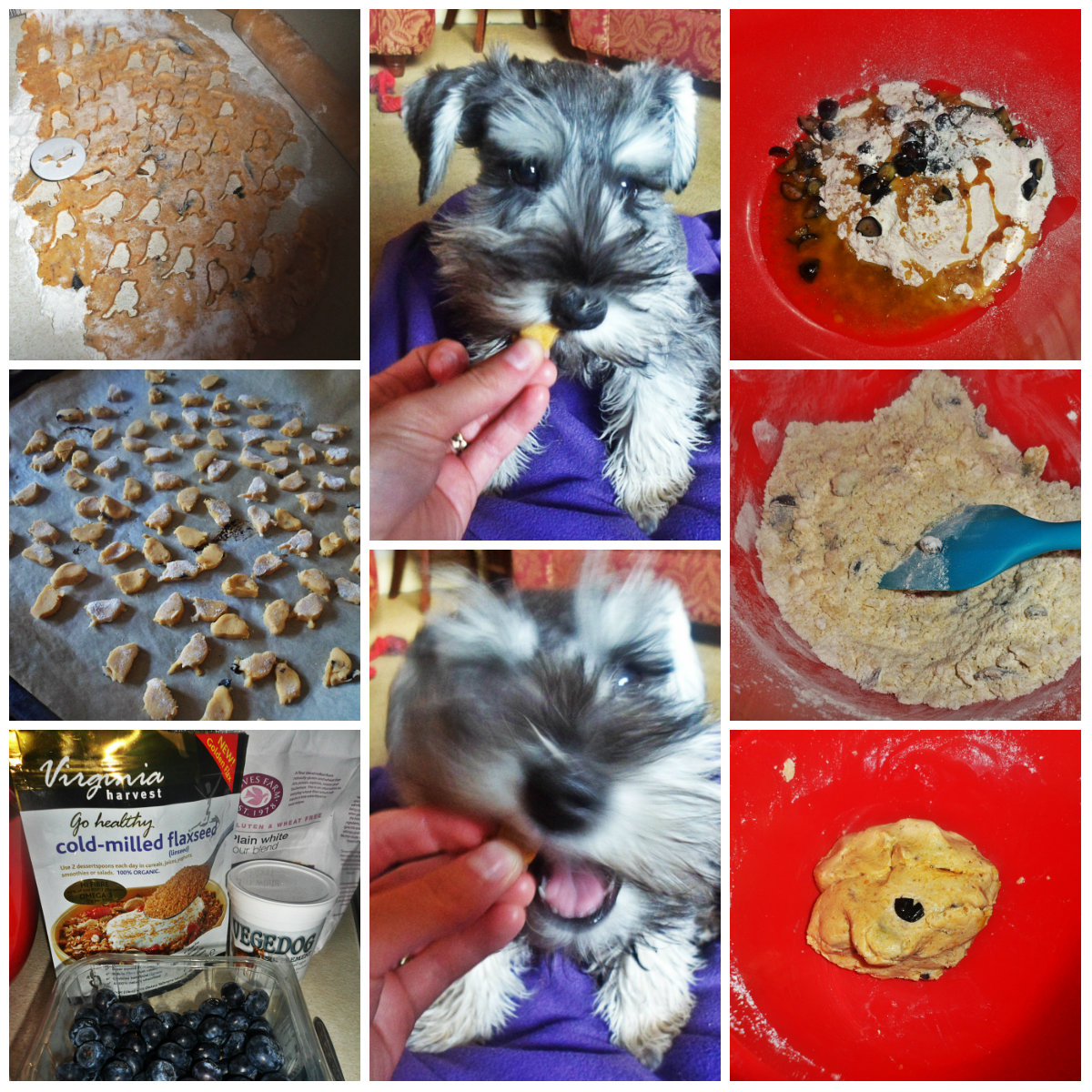 ♥ Deerly Beloved Bakery ♥ Sweet Potato and Blueberry Dog Treats. Soy
