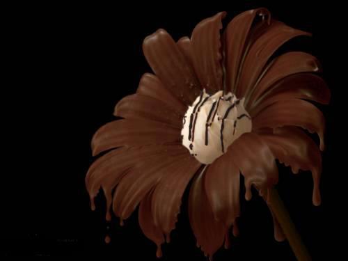 Η σοκολάτα και οι ιδιότητές της