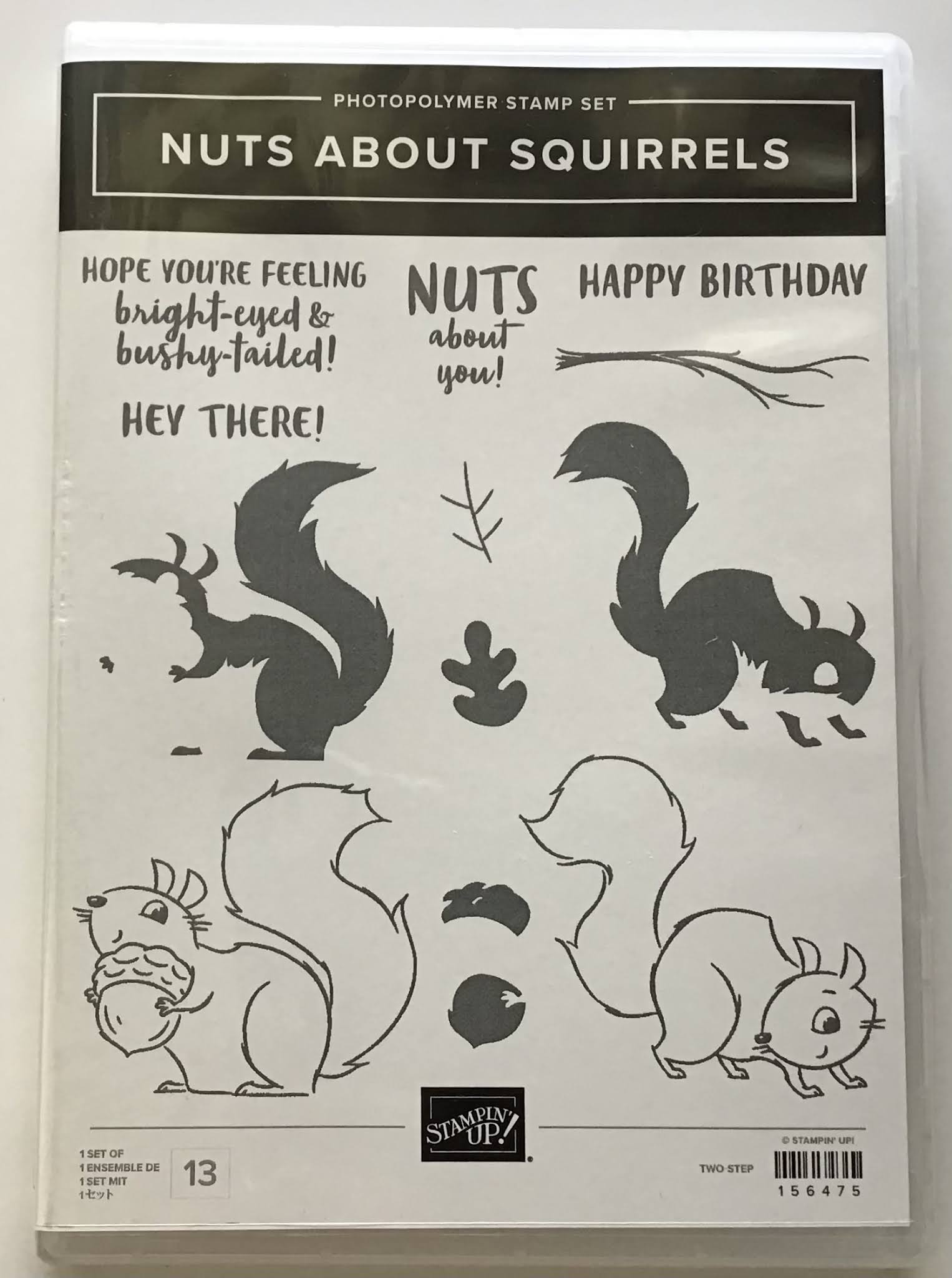Greatinkspirations SQUIRRELS JUST WANT TO HAVE FUN QUICK & EASY