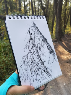sketch @ bald mountain trail, idaho