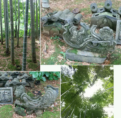 明月院の竹林