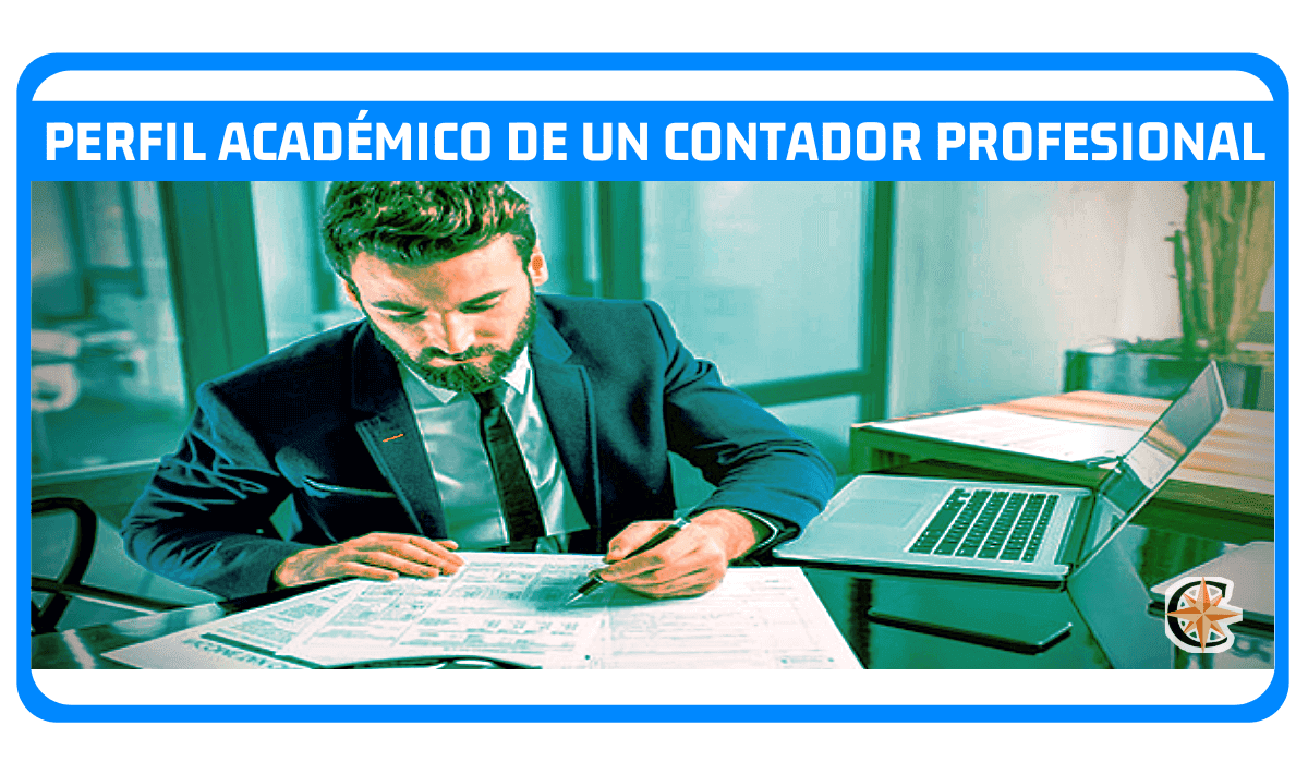 Perfil Académico de un Contador Profesional