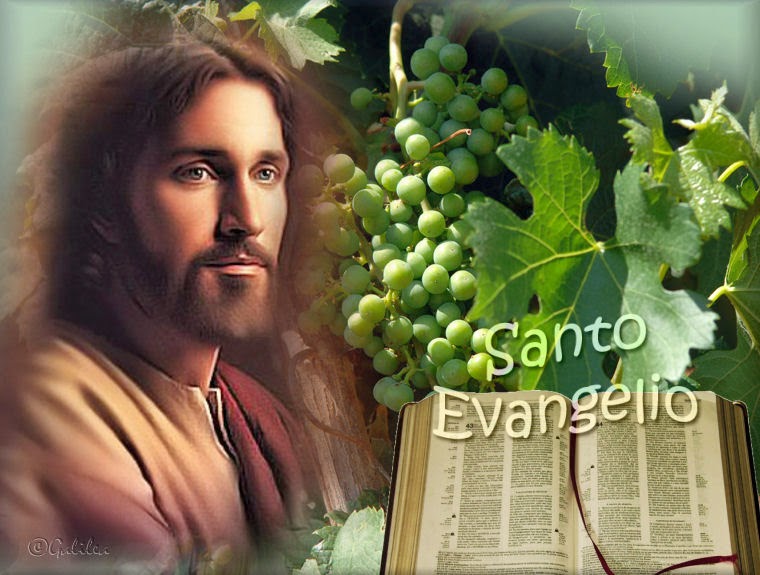 ® Blog Católico Gotitas Espirituales ® LECTURAS BÍBLICAS DEL DOMINGO 3