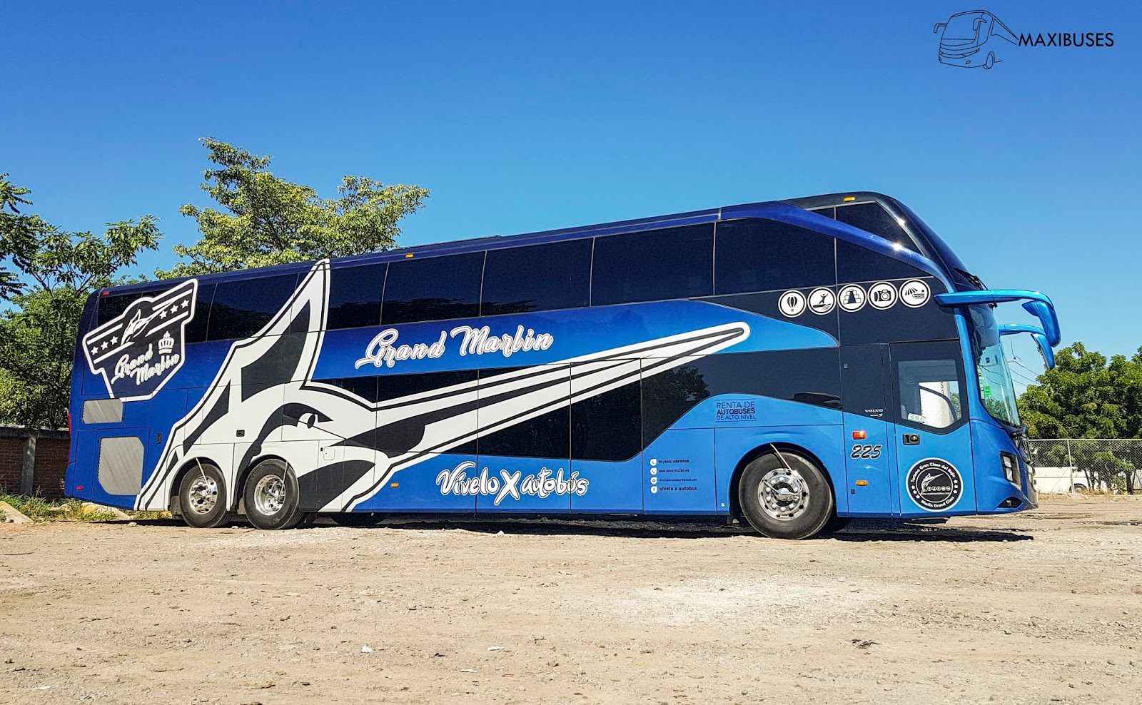 marlin travel bus tours